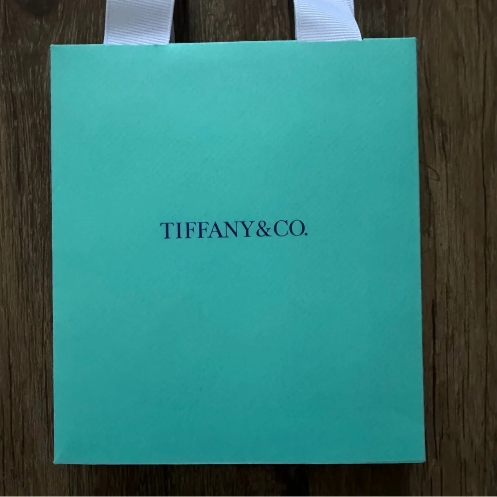TIFFANY & CO Turquoise Blue Mini Paper Gift Bags Tote Reusable V Day Birthday